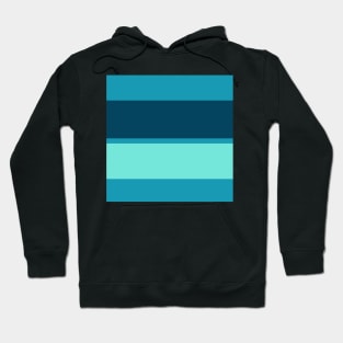 A smart impression of Ice, Sky Blue, Water Blue and Marine Blue stripes. Hoodie